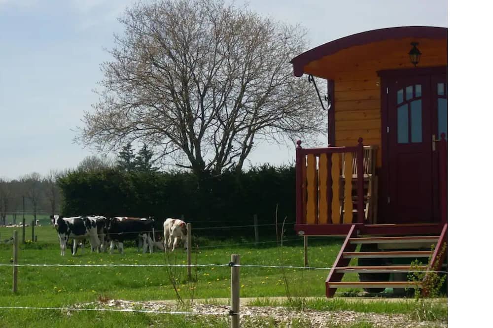 Photo of Outdoor in Chomelix