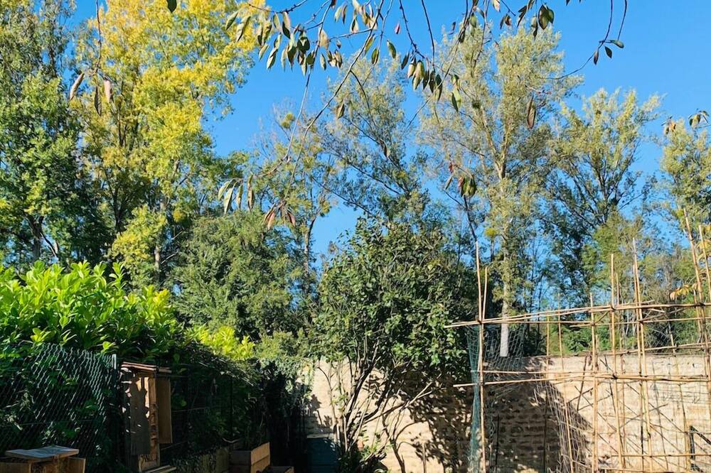 Photo of Outdoor in Sermizelles