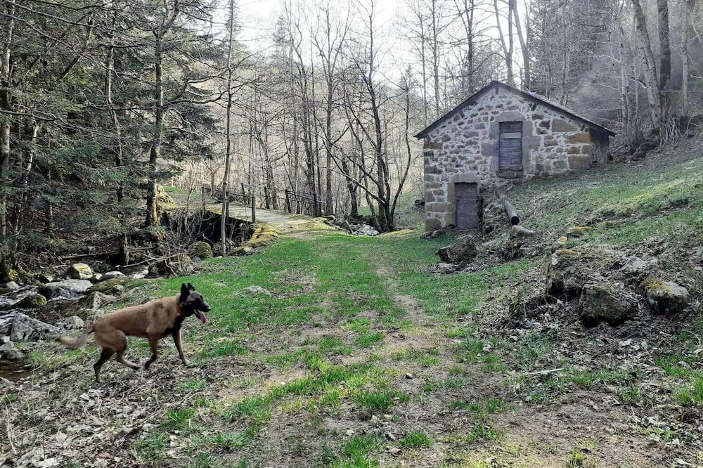 Photo of Outdoor in Saint-Jacques-des-Blats