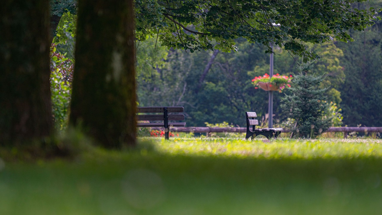 Photo of Outdoor in La Lechere