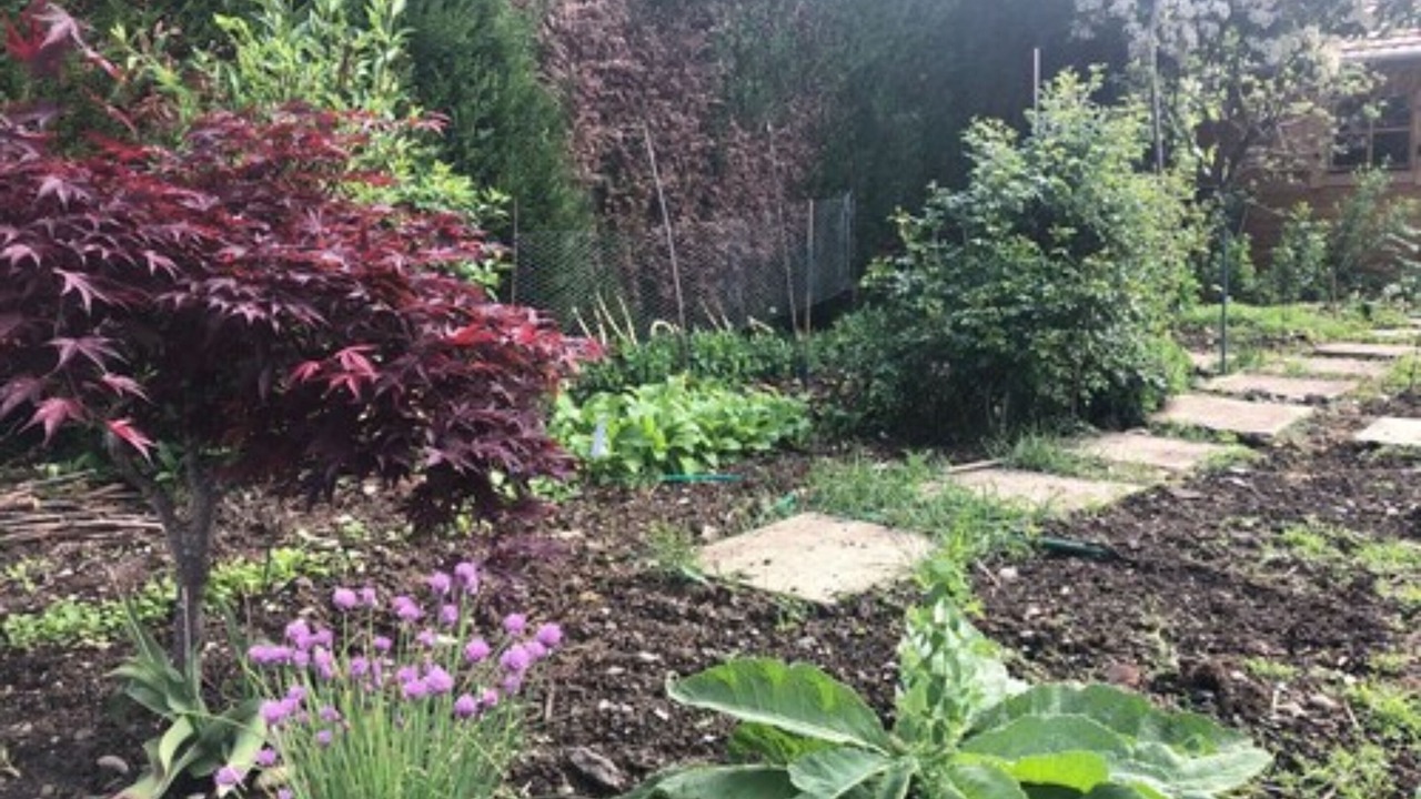 Photo of Outdoor in Audincourt