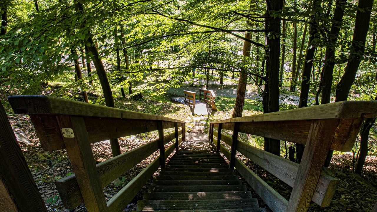 Photo of Outdoor in La Lechere