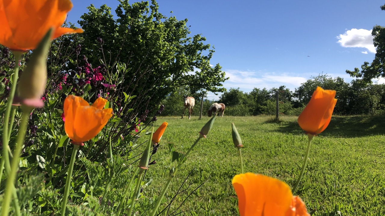 Photo of Outdoor in Montagne