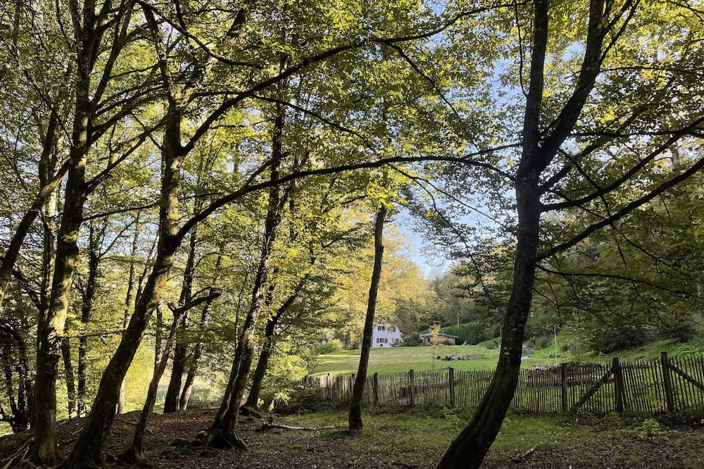 Photo of Outdoor in Charnay