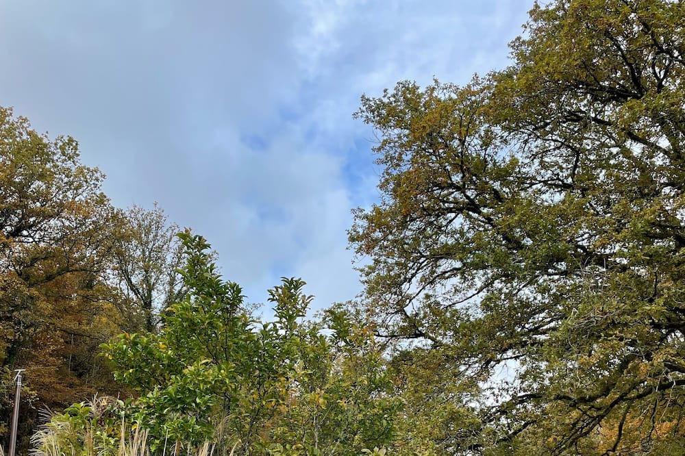 Photo of Outdoor in Charnay