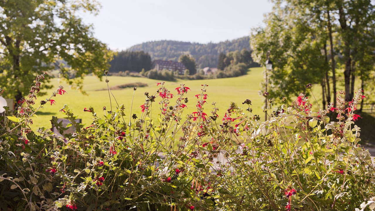 Photo of Outdoor in Metabief