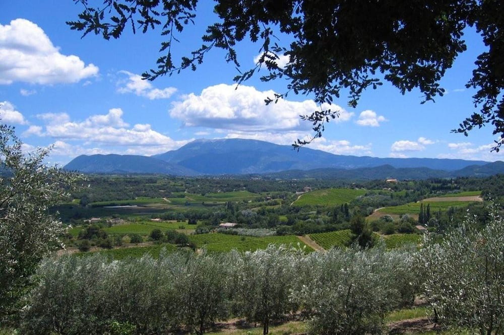 Photo of Others in Puymeras