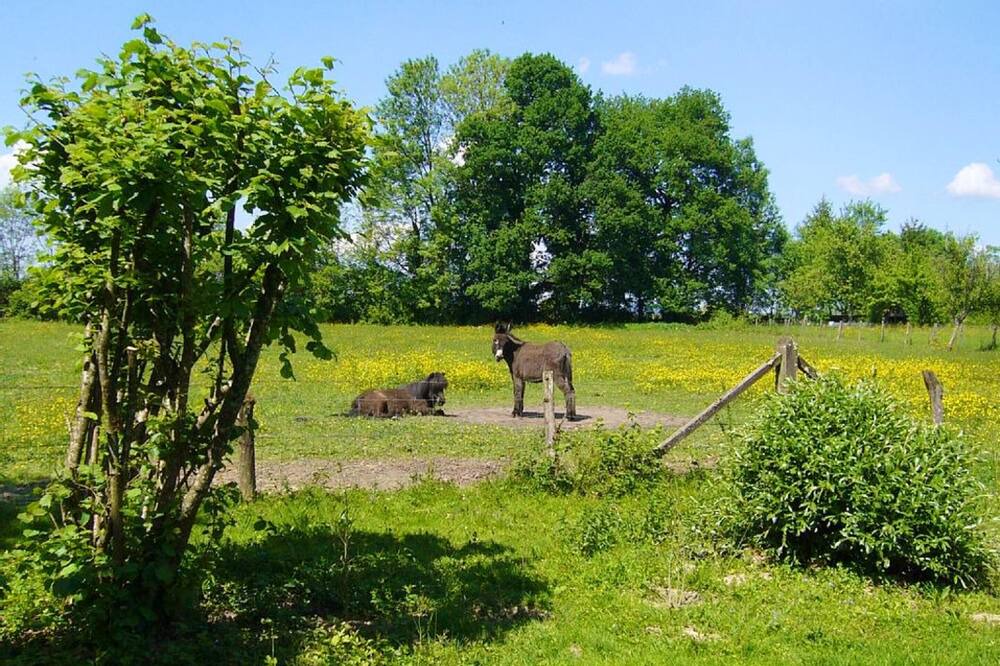 Photo of Others in Plumont