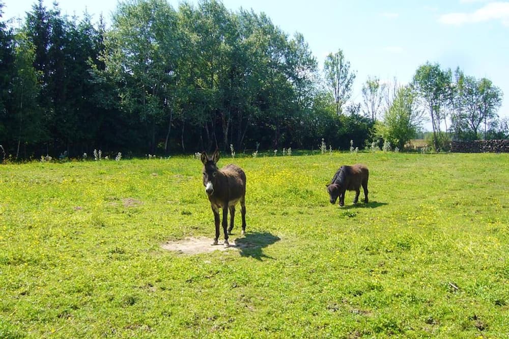 Photo of Others in Plumont