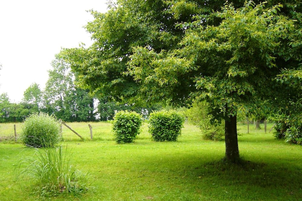 Photo of Outdoor in Plumont