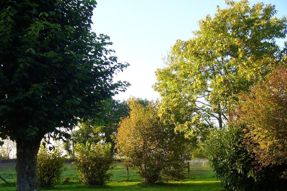 Photo of Outdoor in Plumont