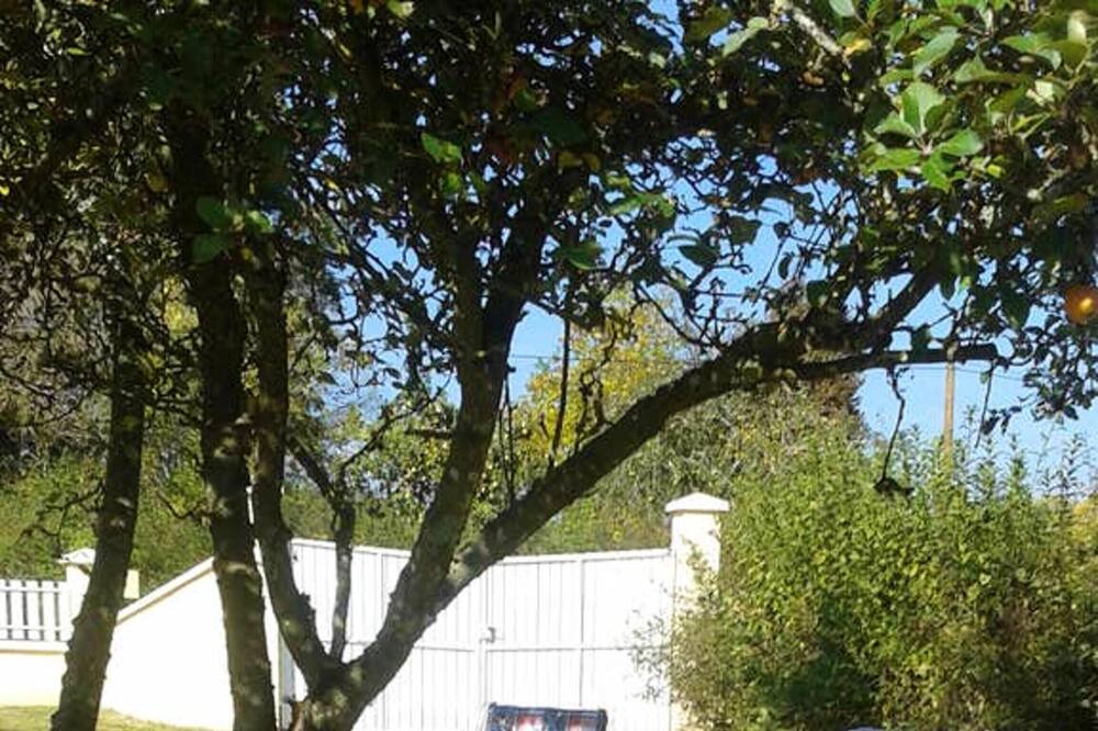Photo of Outdoor in Thil-sur-Arroux