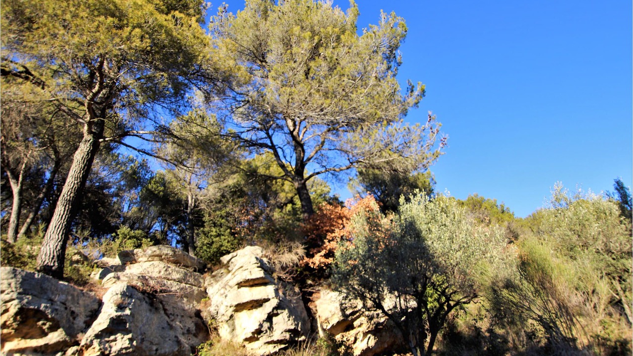 Photo of Outdoor in Entrechaux