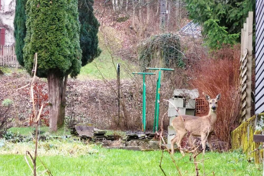 Photo of Outdoor in Le Val-d'Ajol