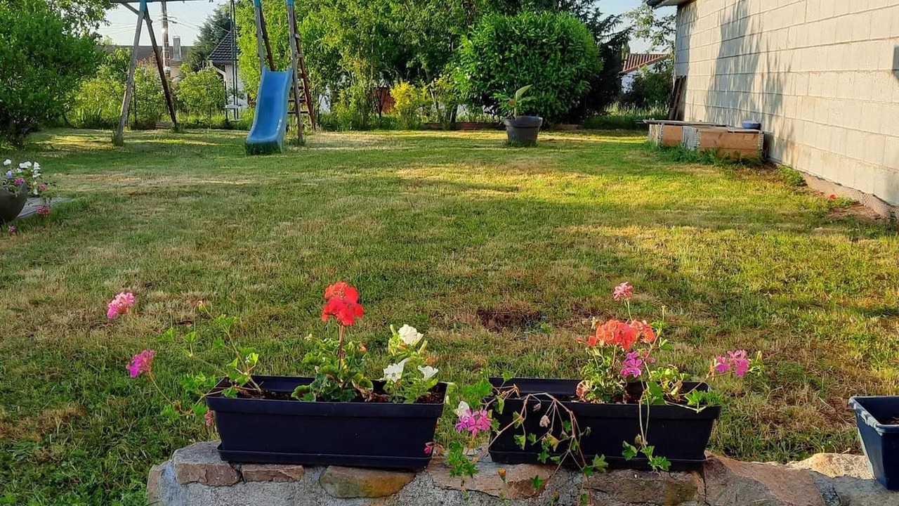 Photo of Outdoor in Saint-Georges-de-Baroille