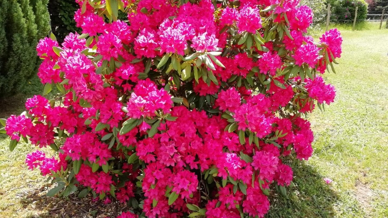 Photo of Outdoor in Monsols