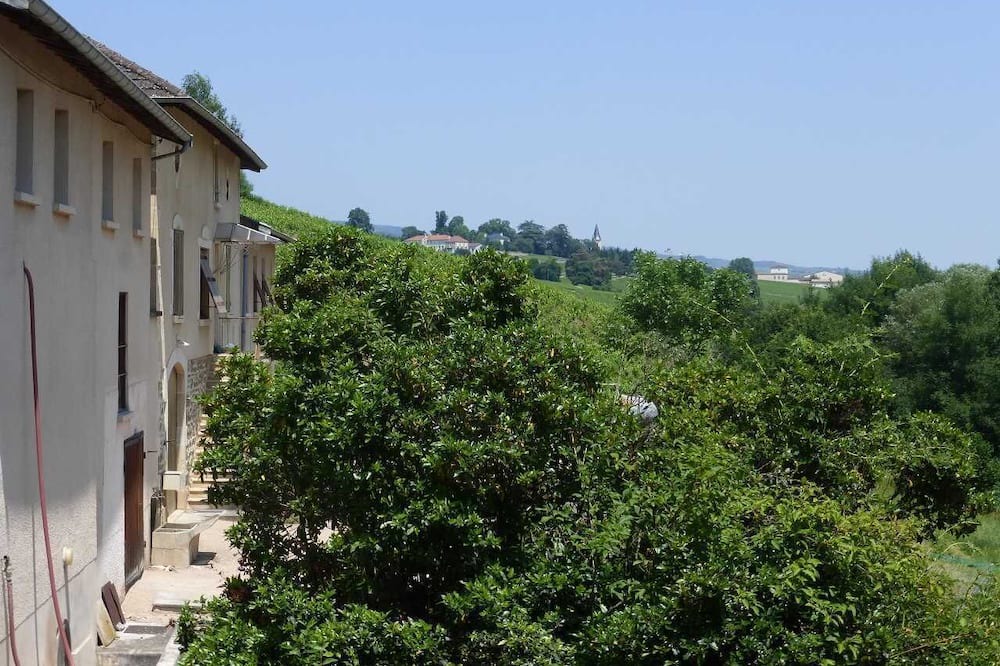 Photo of Outdoor in Quincie-en-Beaujolais