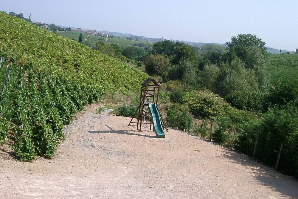 Photo of Others in Quincie-en-Beaujolais