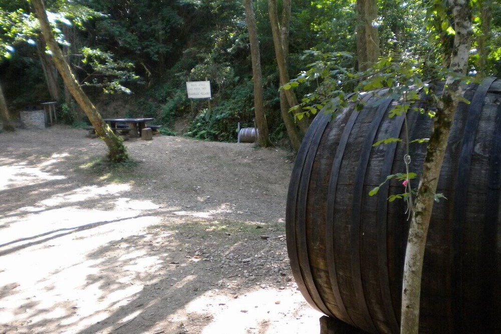 Photo of Outdoor in Quincie-en-Beaujolais