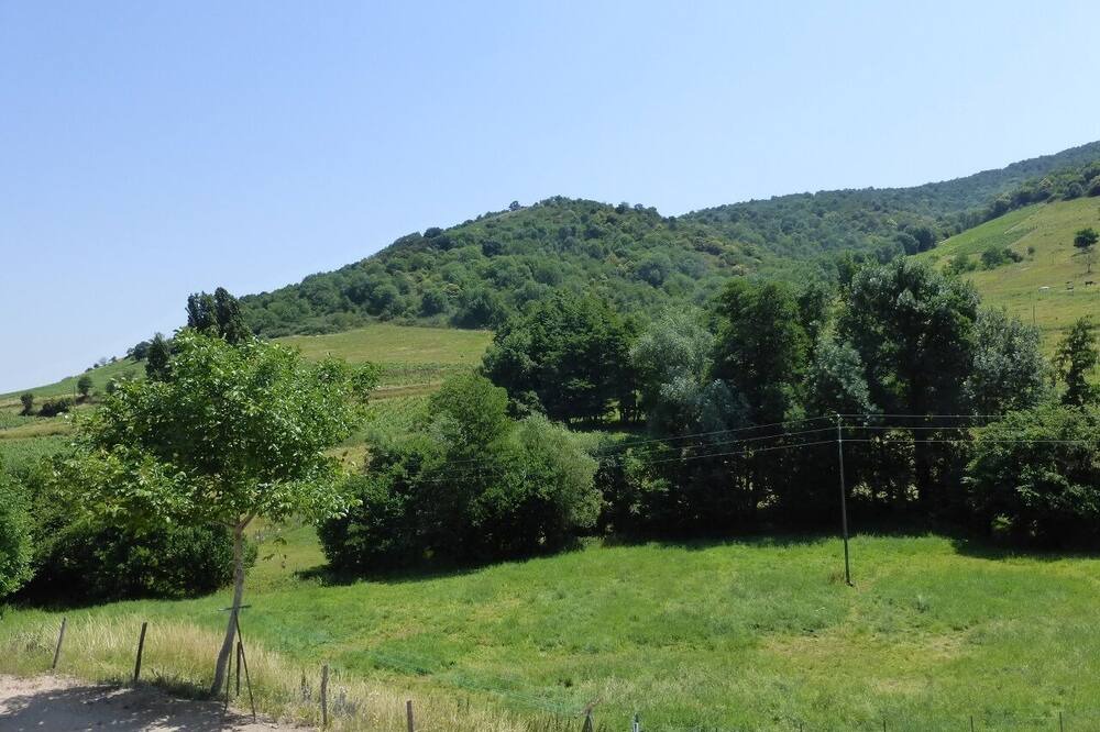 Photo of Outdoor in Quincie-en-Beaujolais