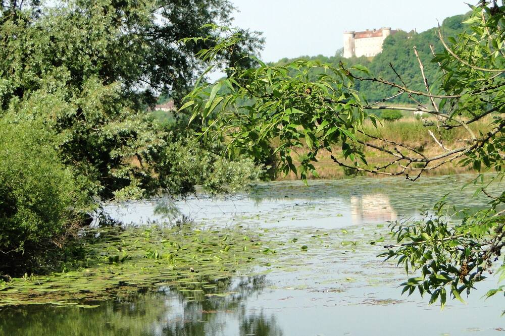 Photo of Outdoor in Vanne