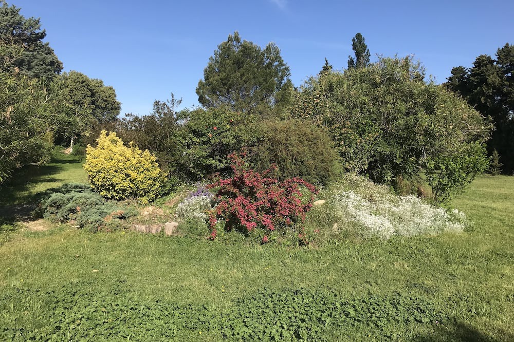 Photo of Outdoor in Loriol-du-Comtat