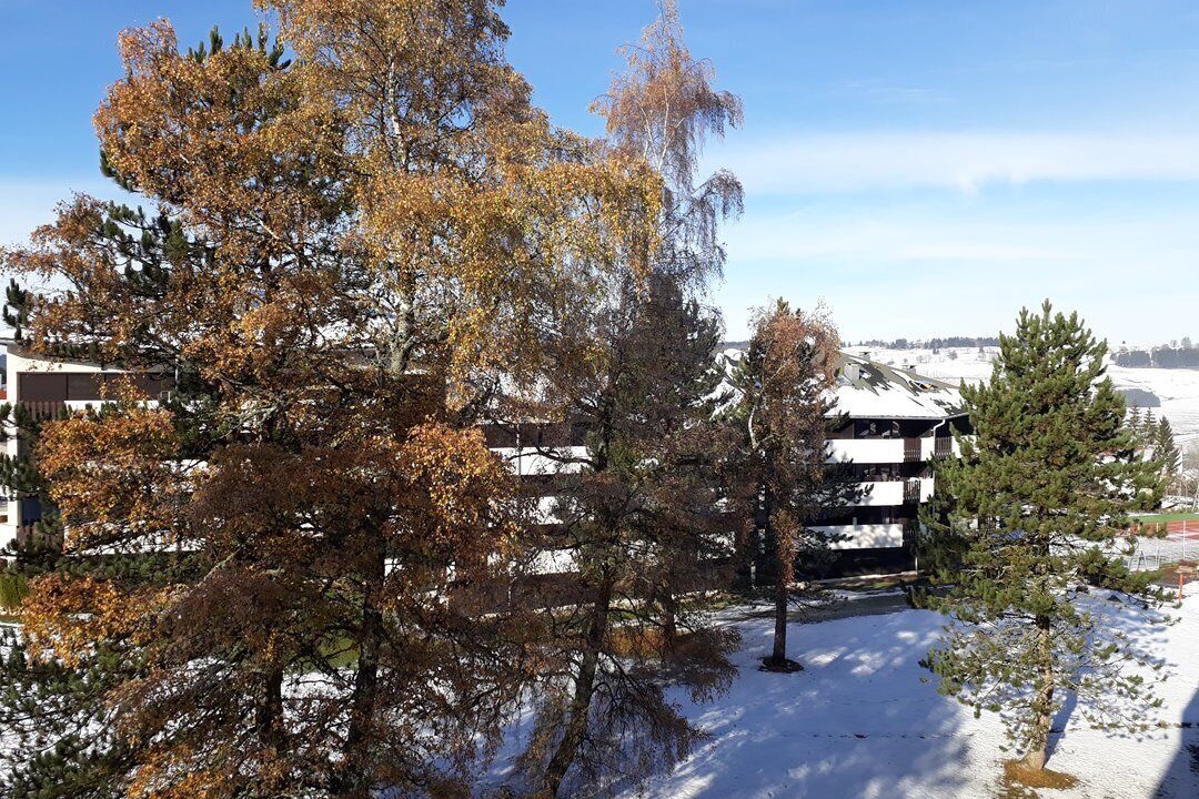 Photo of Outdoor in Metabief