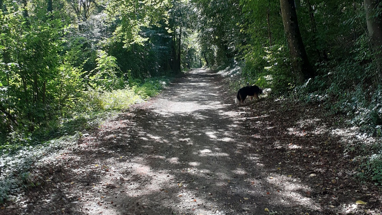 Photo of Others in Bouxieres-aux-Chenes