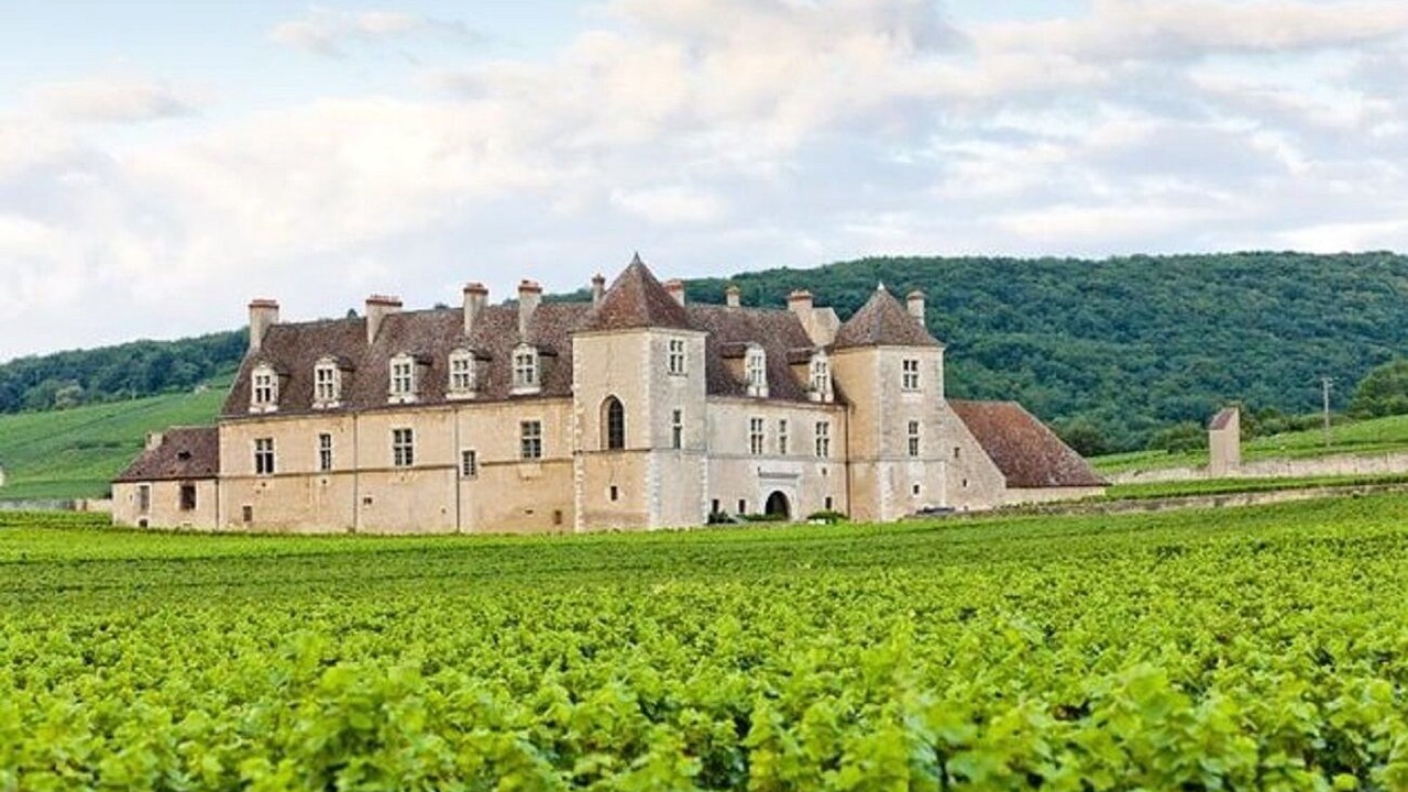 Photo of Outdoor in Chevigny-en-Valiere