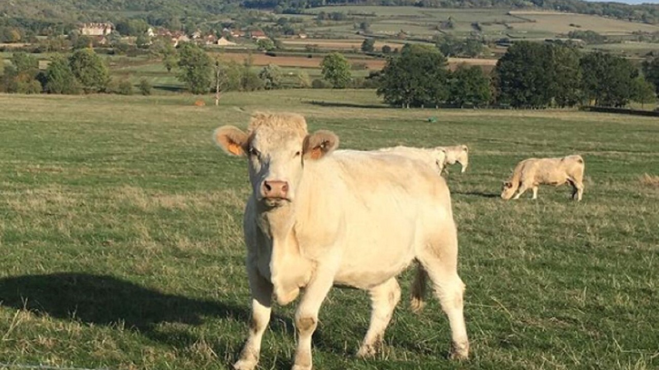 Photo of Outdoor in Champeau-en-Morvan