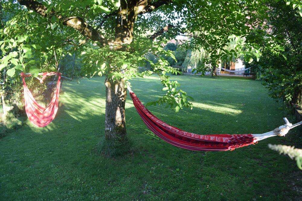 Photo of Outdoor in La Tour-du-Meix