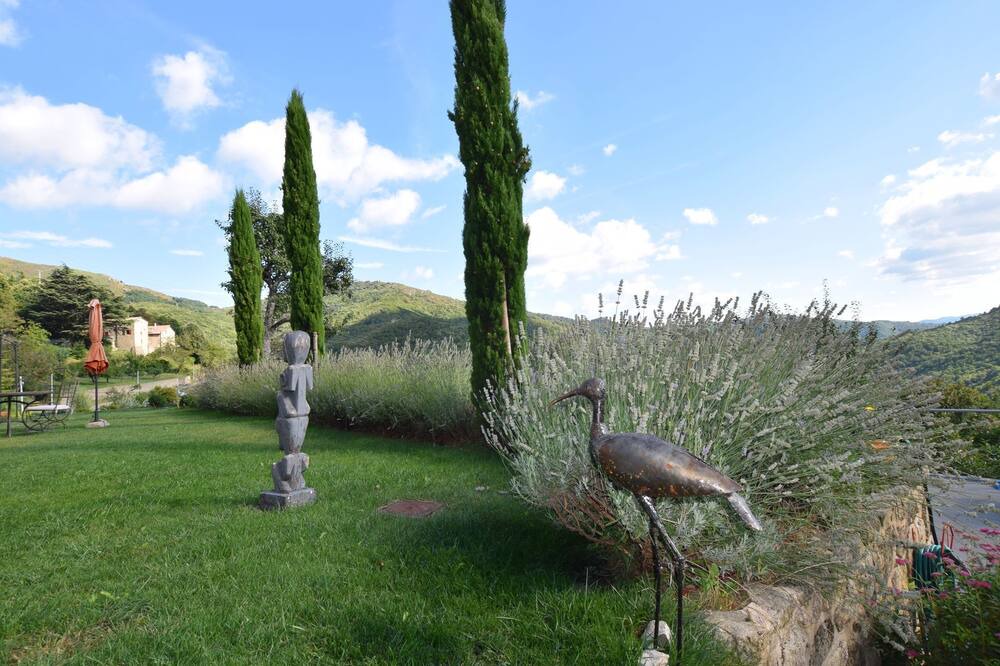 Photo of Outdoor in Burzet