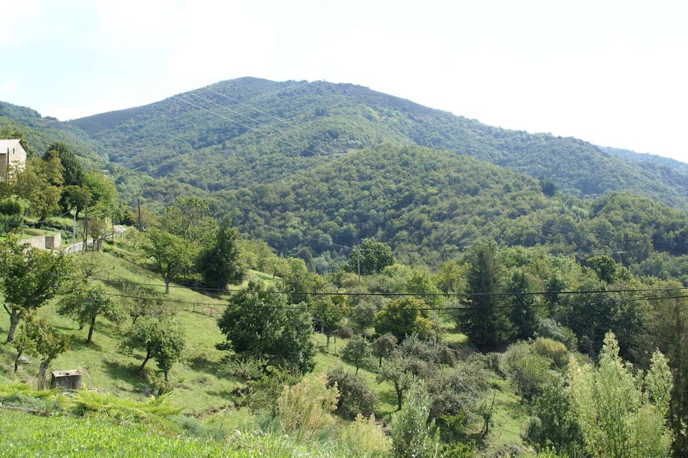 Photo of Others in Burzet