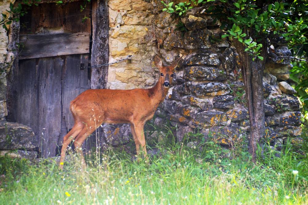 Photo of Outdoor in Le Poet-Laval
