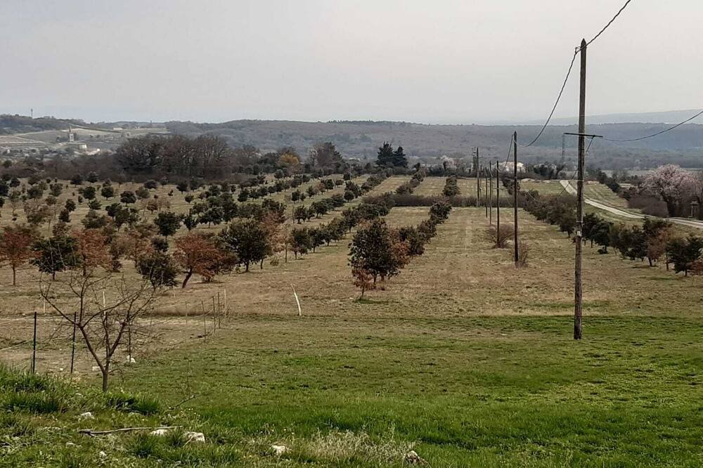 Photo of Outdoor in Montjoyer