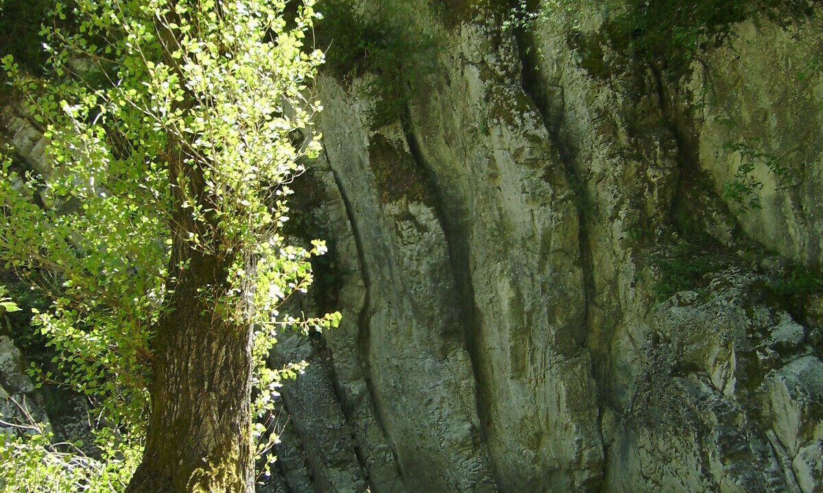 Photo of Outdoor in Rochebaudin