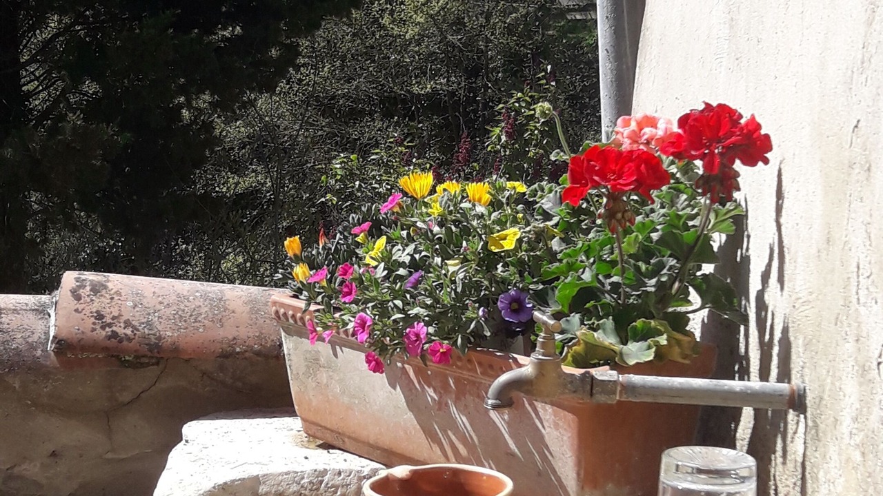 Photo of Outdoor in Rochebaudin