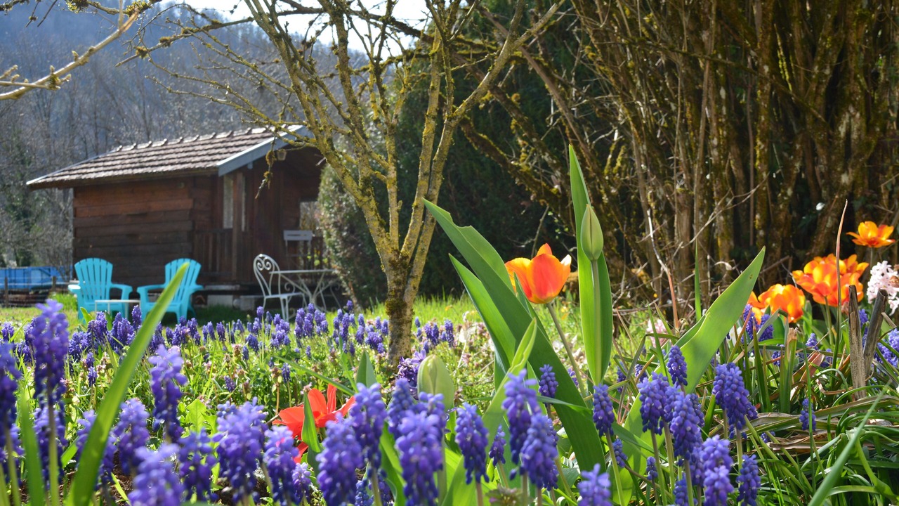 Photo of Outdoor in Cize