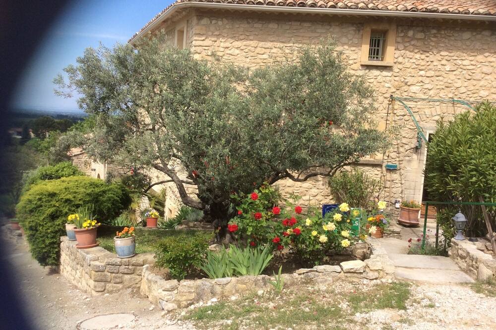 Photo of Outdoor in Saint-Pierre-de-Vassols