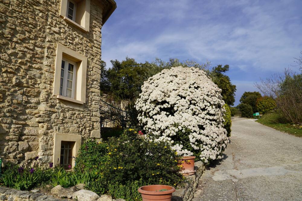 Photo of Outdoor in Saint-Pierre-de-Vassols