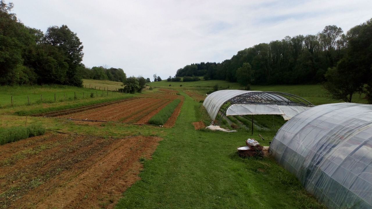 Photo of Outdoor in Saint-Maur