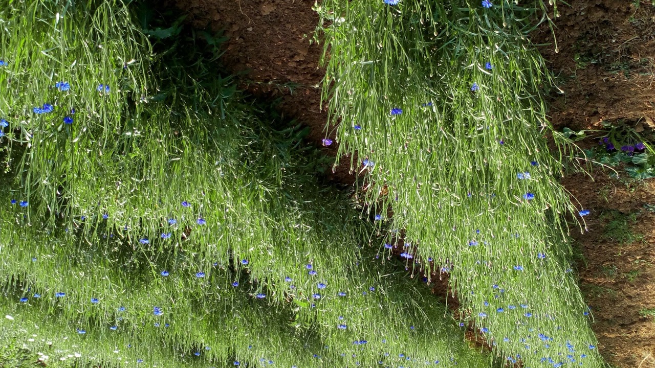 Photo of Outdoor in Saint-Maur