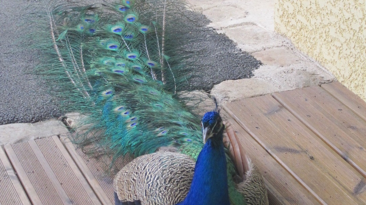 Photo of Outdoor in Vyans-le-Val