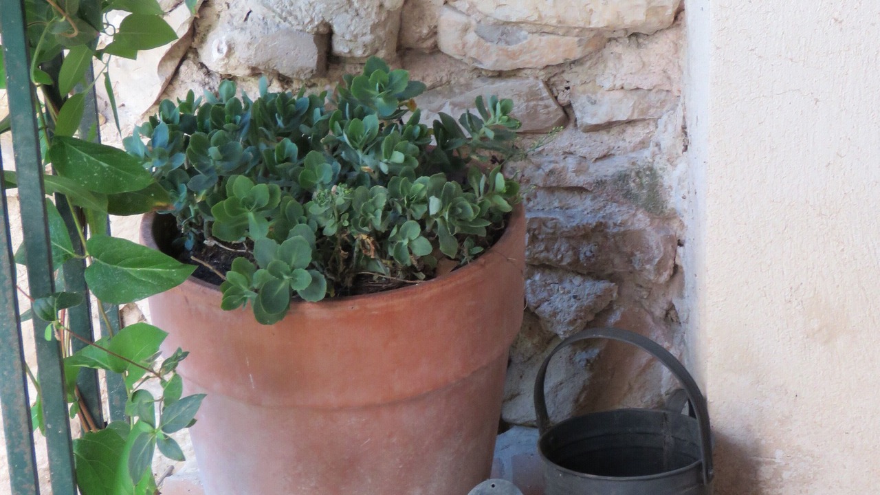 Photo of Outdoor in Portes-en-Valdaine