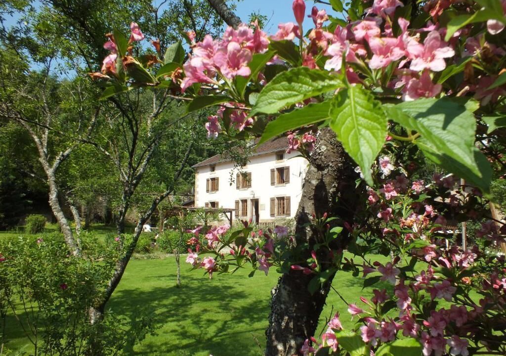 Photo of Outdoor in Rasey