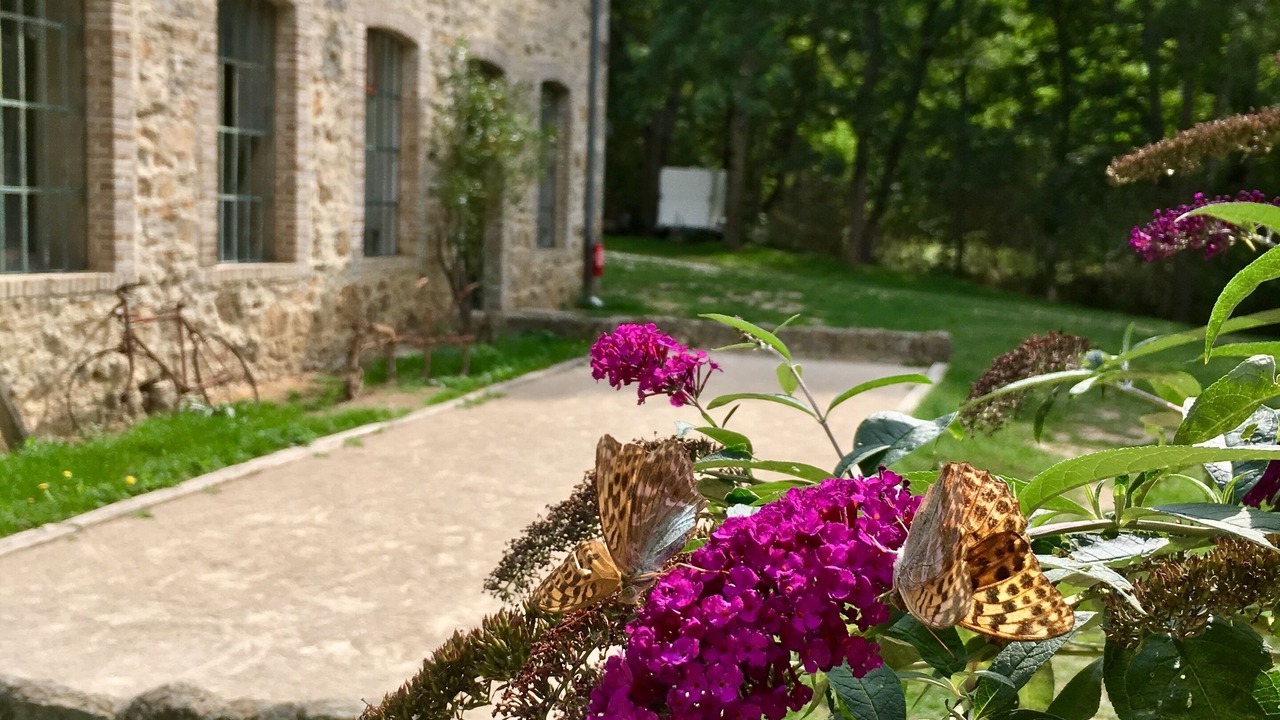 Photo of Outdoor in Lafarre