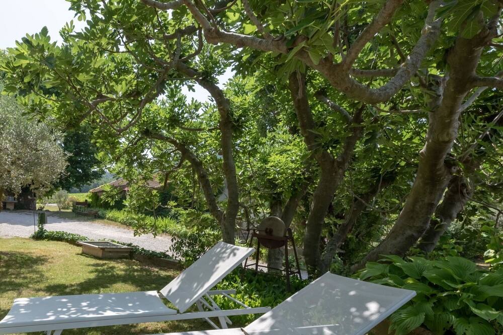 Photo of Outdoor in Saint-Roman-de-Malegarde