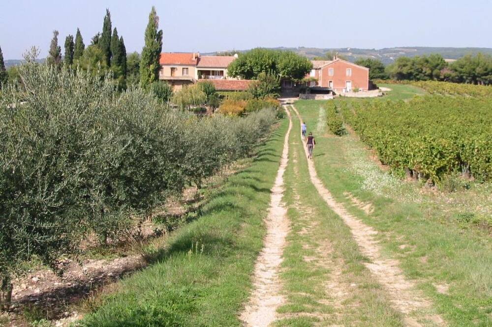 Photo of Others in Saint-Roman-de-Malegarde