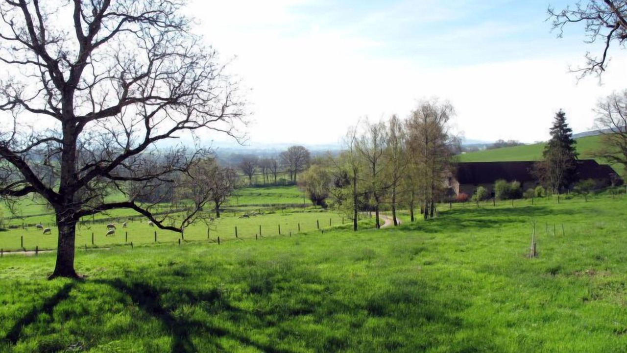 Photo of Outdoor in La Grande-Verriere