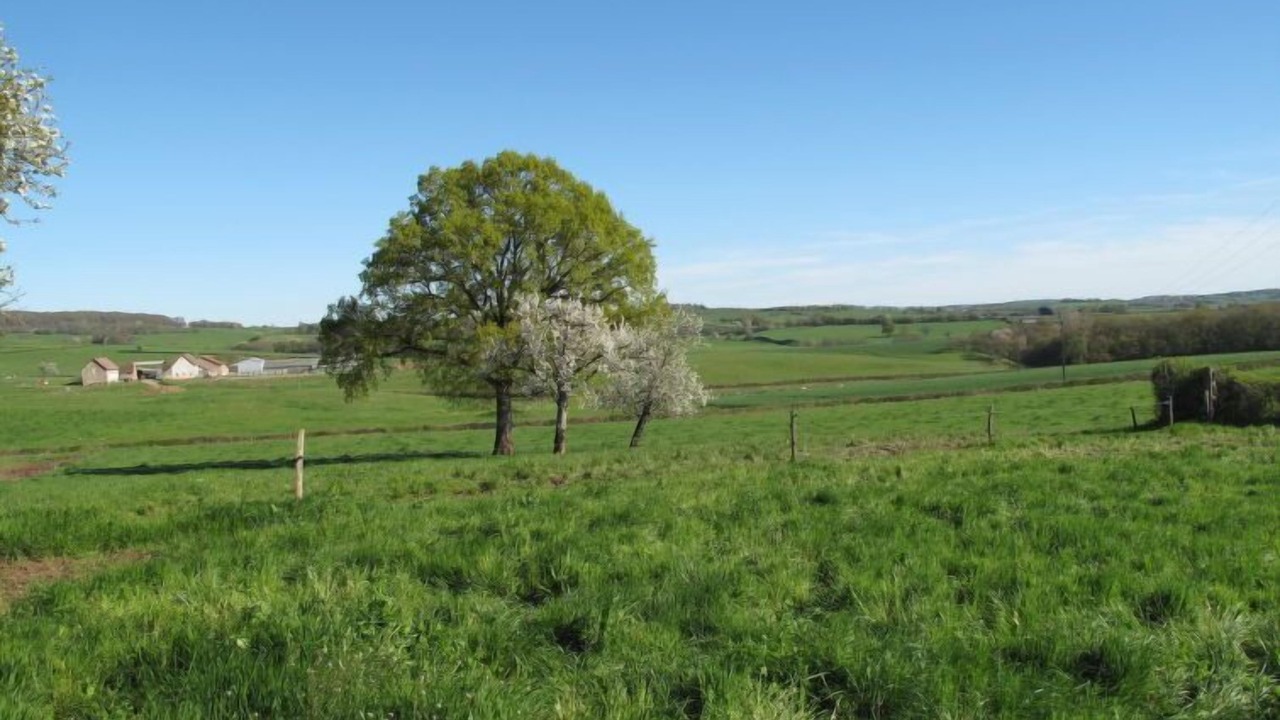 Photo of Outdoor in Ternant